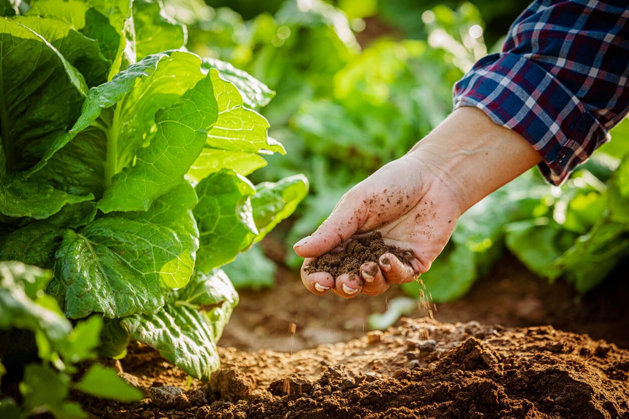 Organic Farming