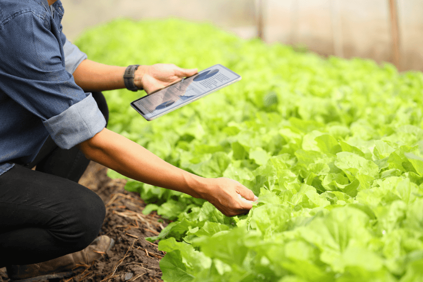 Farm Advisory and Training