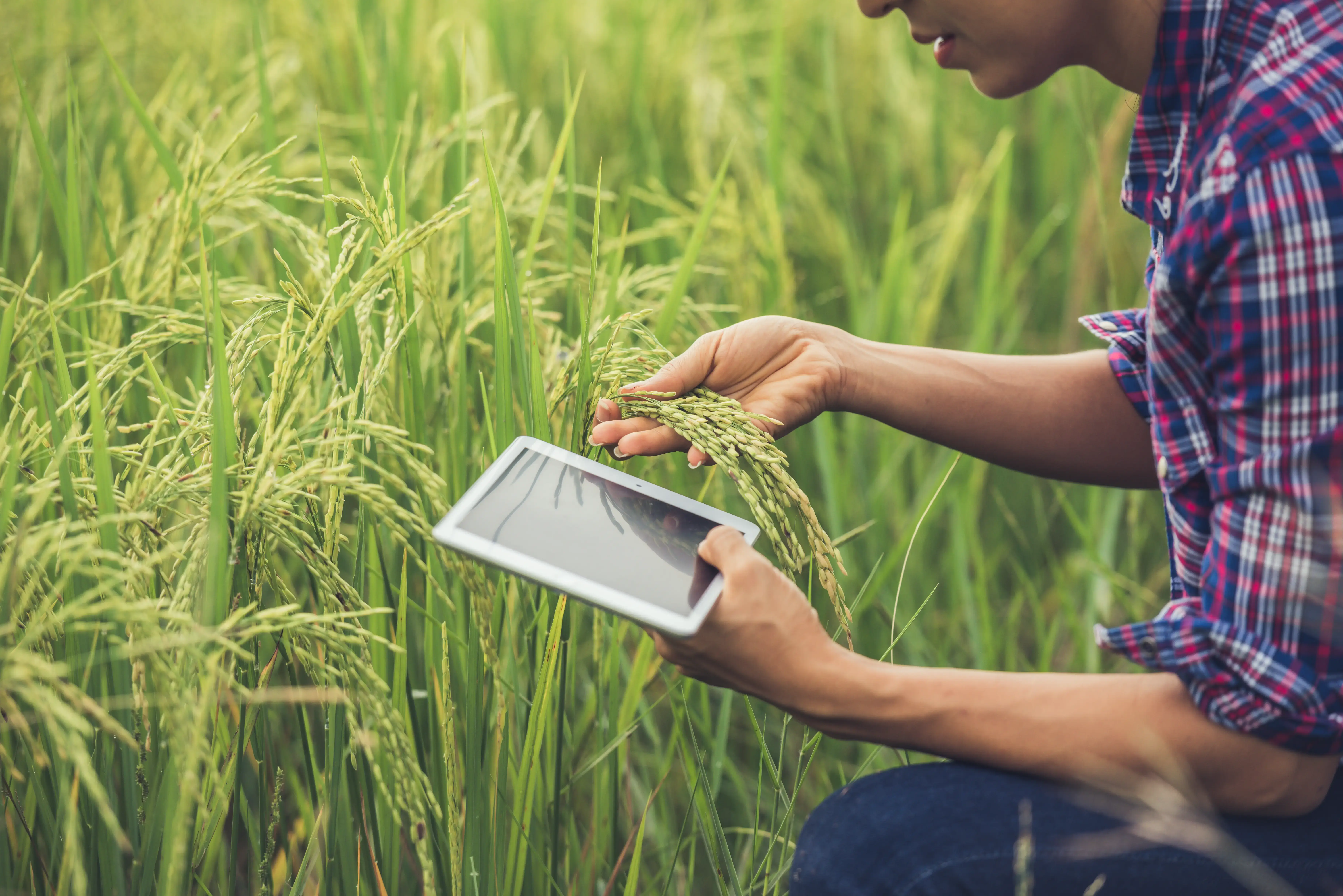 Integrated Farming Systems